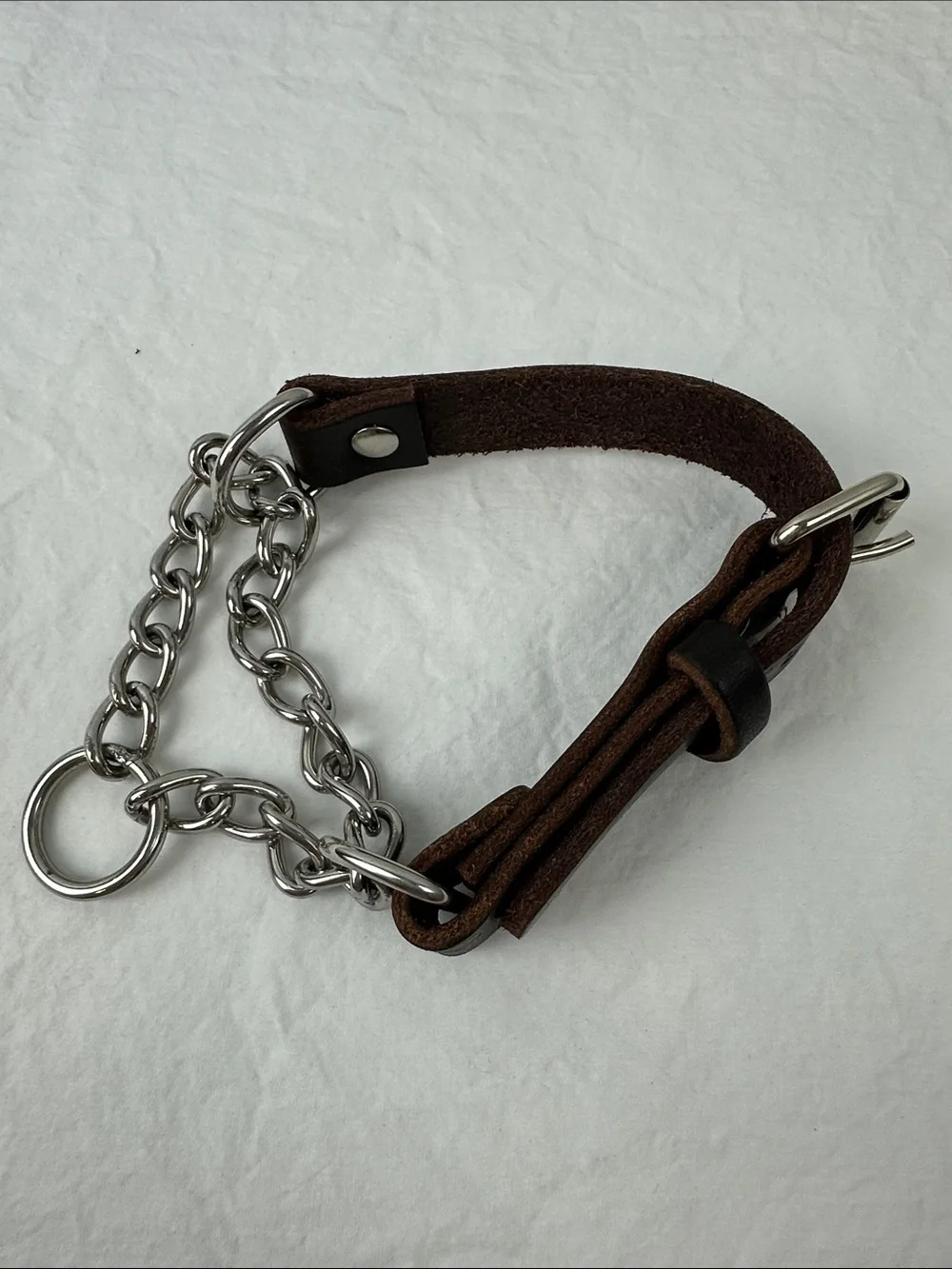 NWOT Mighty Paw Leather Martingale Dog Collar, Medium